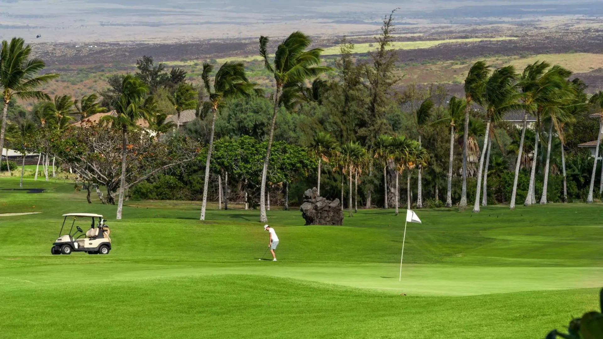 Вилла Vista Waikoloa D201 Дом отдыха